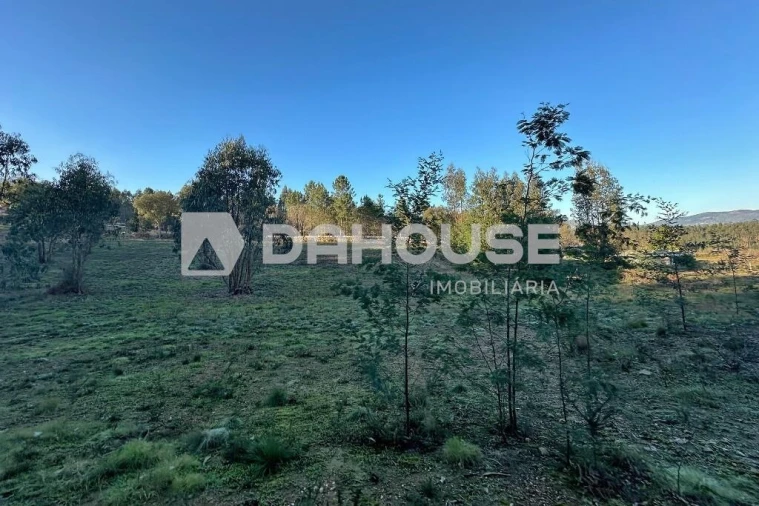 Terreno para Venda em Associação de Freguesias do Vale do Neiva Foto 8