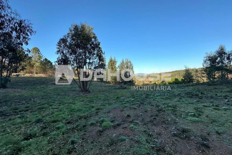 Terreno para Venda em Associação de Freguesias do Vale do Neiva Foto 6