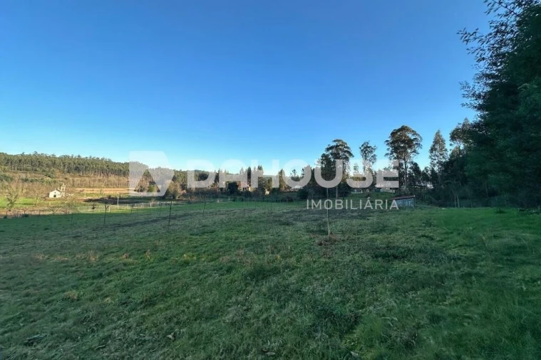 Terreno para Venda em Associação de Freguesias do Vale do Neiva Foto 10