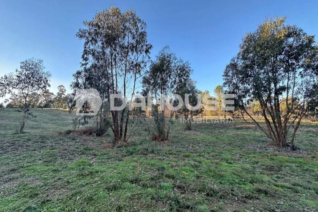 Terreno para Venda em Associação de Freguesias do Vale do Neiva Foto 7