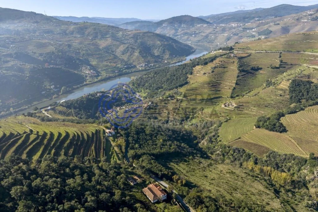 Quinta T10 para Venda em Oliveira Foto 8