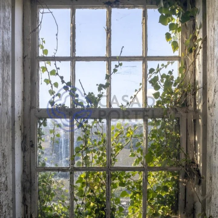 Quinta T10 para Venda em Oliveira Foto 31