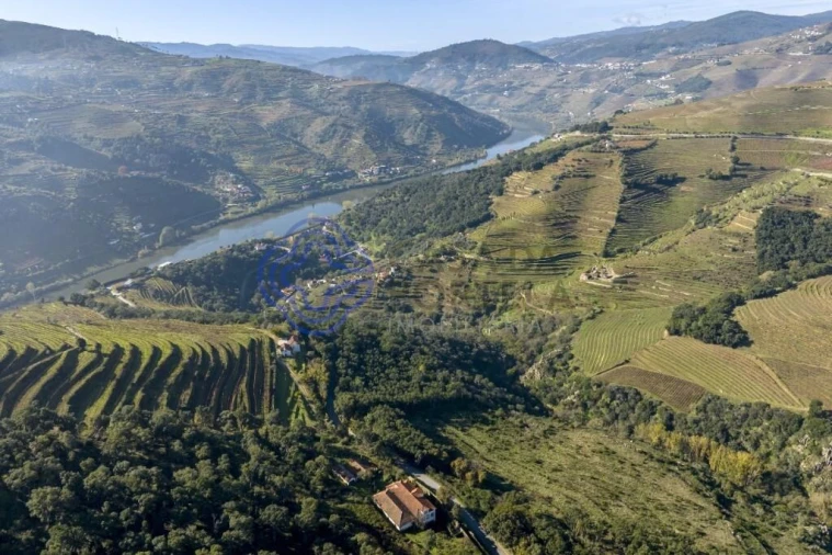 Quinta T10 para Venda em Oliveira Foto 8