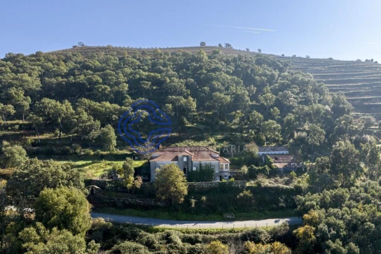 Quinta T10 para Venda em Oliveira Foto 14