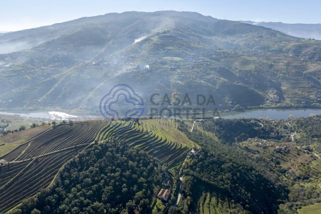 Quinta T10 para Venda em Oliveira Foto 6