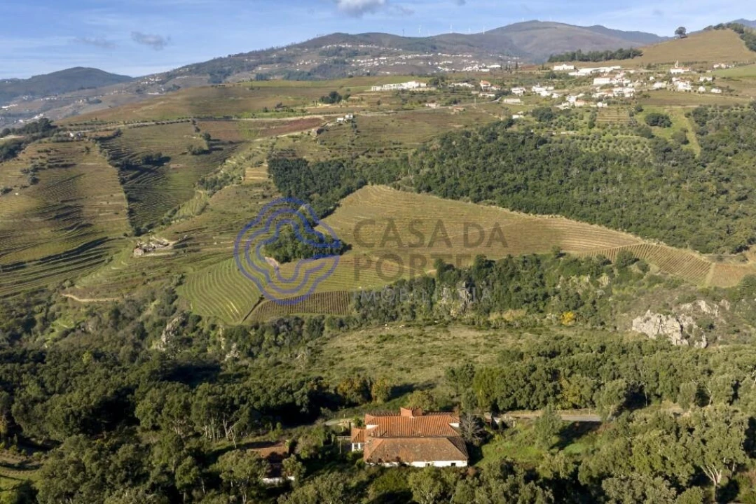 Quinta T10 para Venda em Oliveira Foto 11