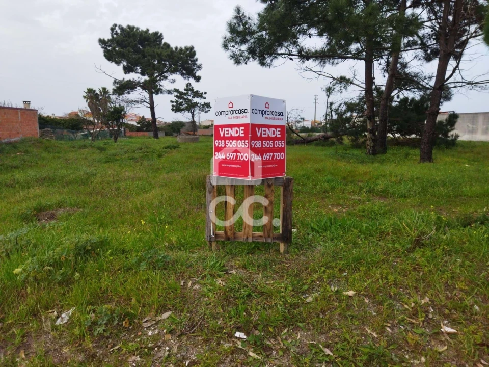Terreno para Venda em Vieira de Leiria Foto 5