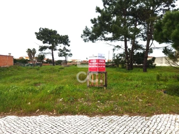 Terreno para Venda em Vieira de Leiria