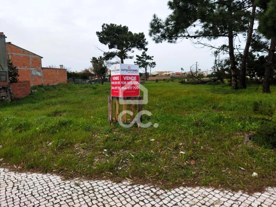 Terreno para Venda em Vieira de Leiria Foto 9