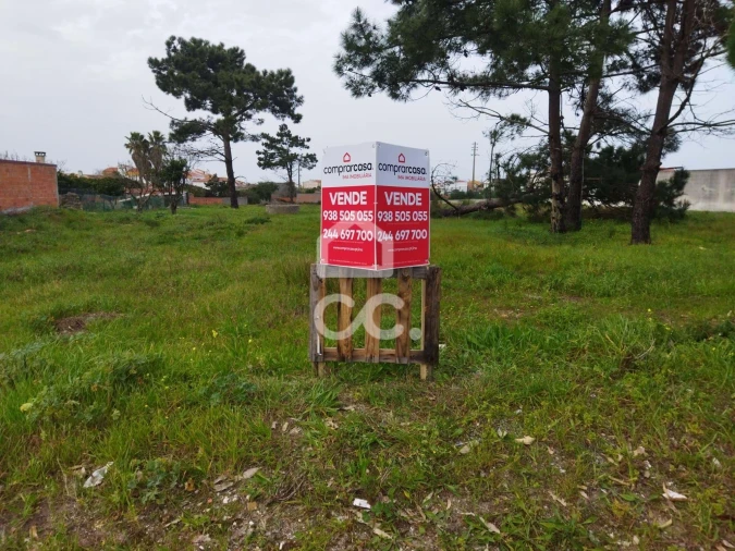 Terreno para Venda em Vieira de Leiria Foto 5