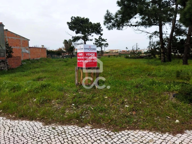 Terreno para Venda em Vieira de Leiria Foto 9