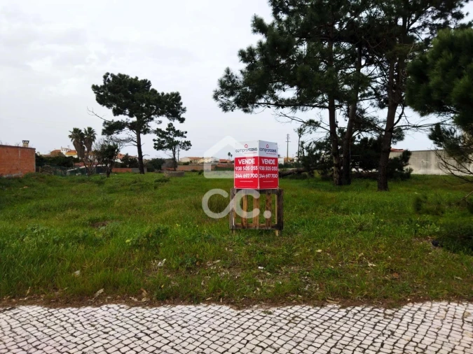 Terreno para Venda em Vieira de Leiria Foto 10