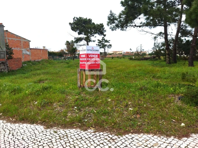 Terreno para Venda em Vieira de Leiria Foto 3