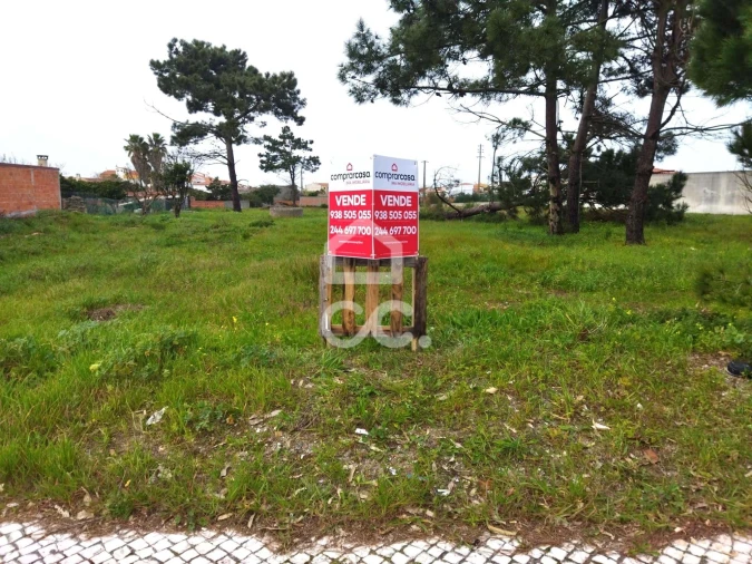 Terreno para Venda em Vieira de Leiria Foto 7