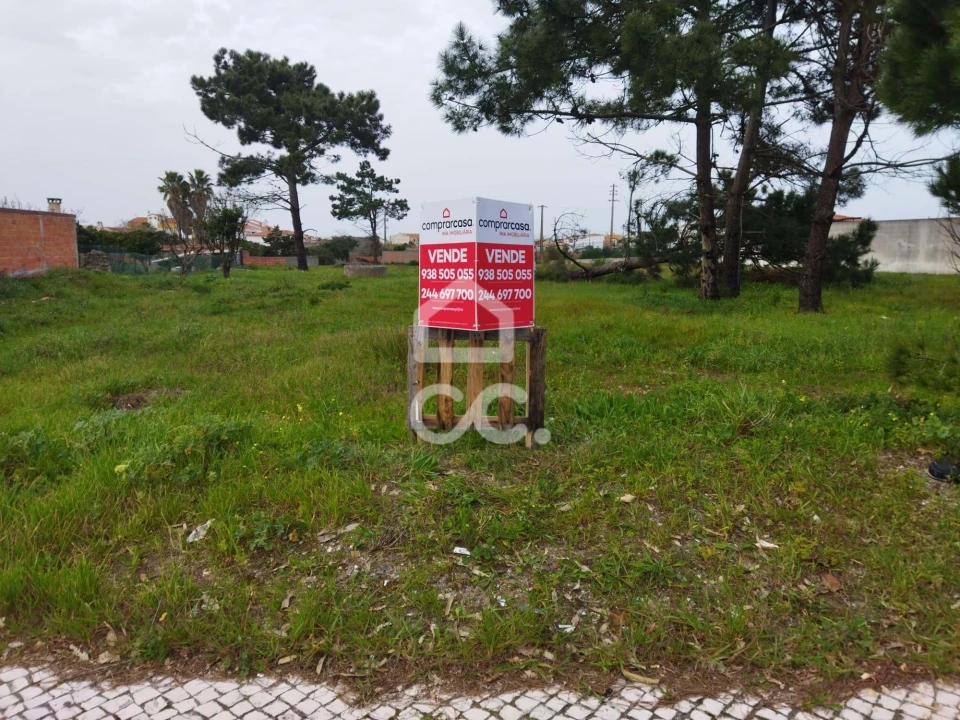 Terreno para Venda em Vieira de Leiria Foto 8