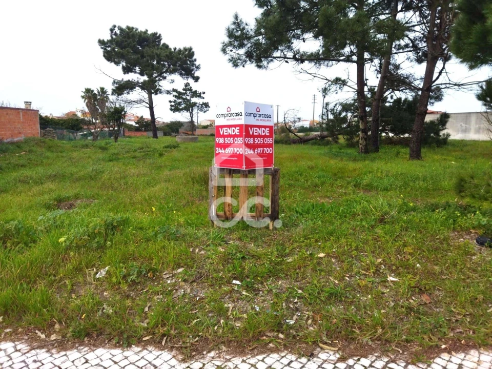 Terreno para Venda em Vieira de Leiria Foto 7