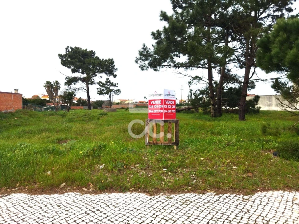 Terreno para Venda em Vieira de Leiria Foto 2