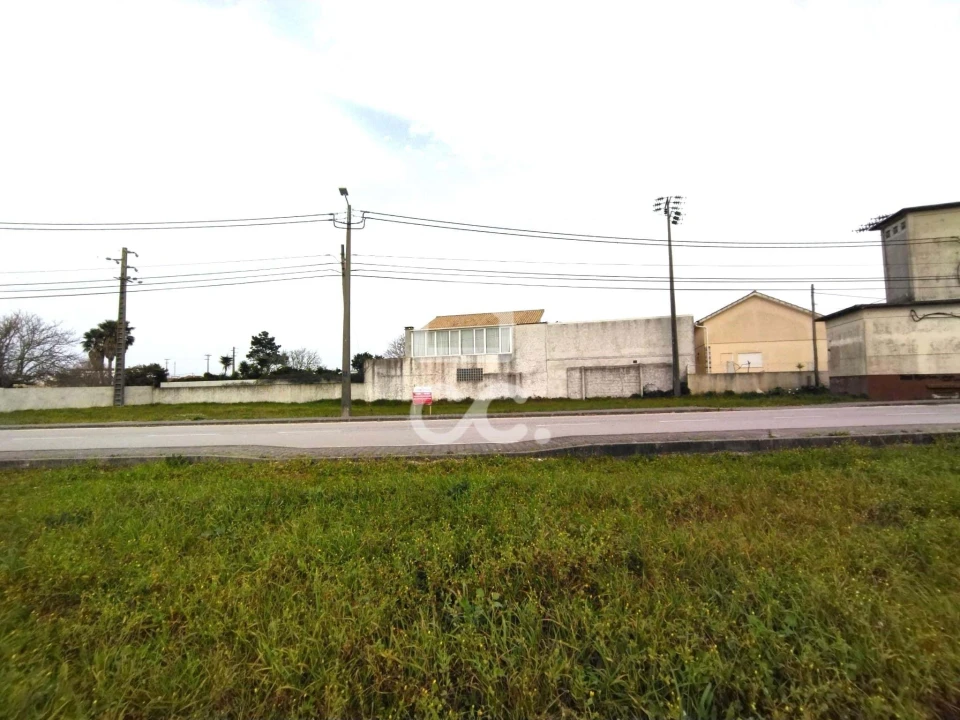 Terreno para Venda em Vieira de Leiria Foto 7