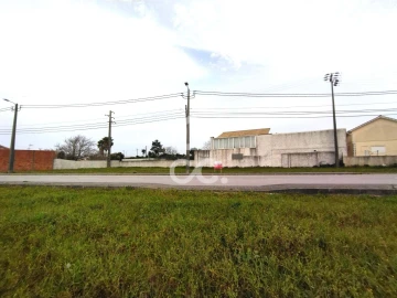 Terreno para Venda em Vieira de Leiria