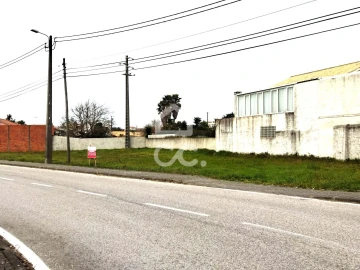 Terreno para Venda em Vieira de Leiria
