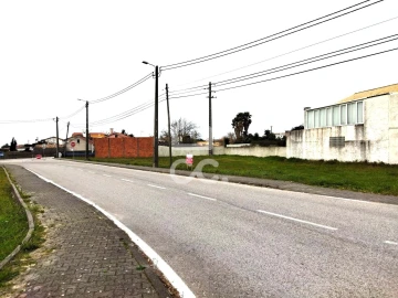 Terreno para Venda em Vieira de Leiria