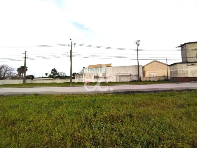 Terreno para Venda em Vieira de Leiria Foto 7