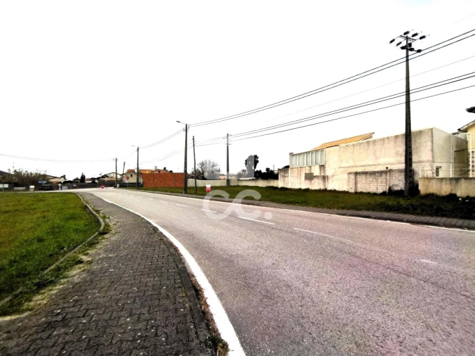 Terreno para Venda em Vieira de Leiria Foto 4