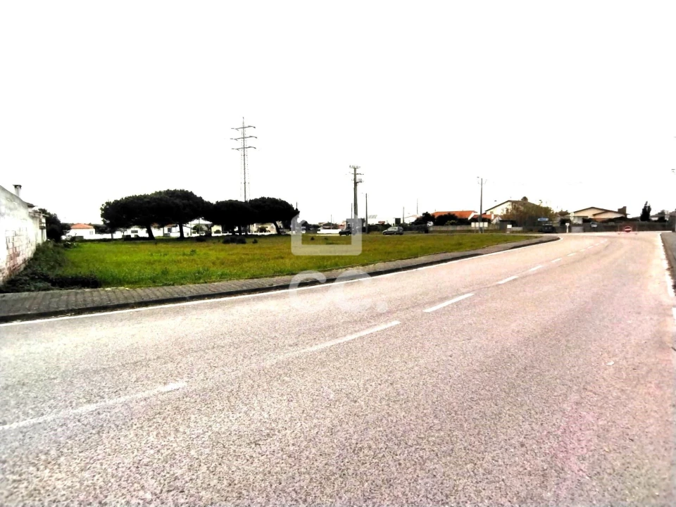 Terreno para Venda em Vieira de Leiria Foto 7