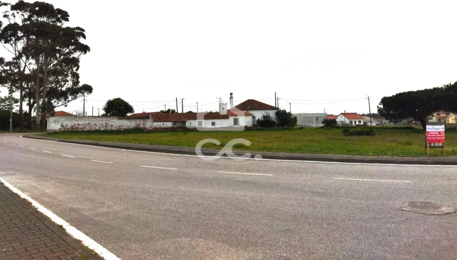 Terreno para Venda em Vieira de Leiria Foto 3