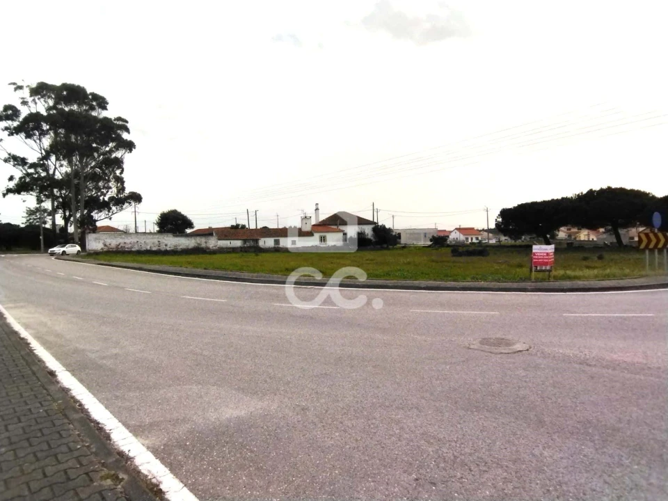 Terreno para Venda em Vieira de Leiria Foto 5