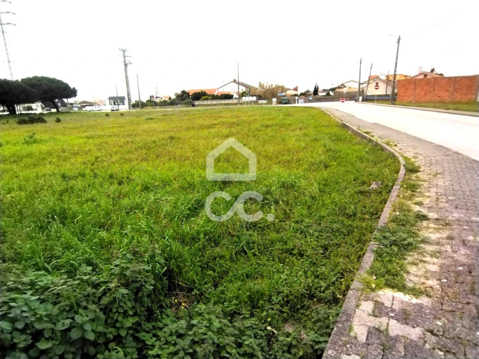 Terreno para Venda em Vieira de Leiria Foto 6