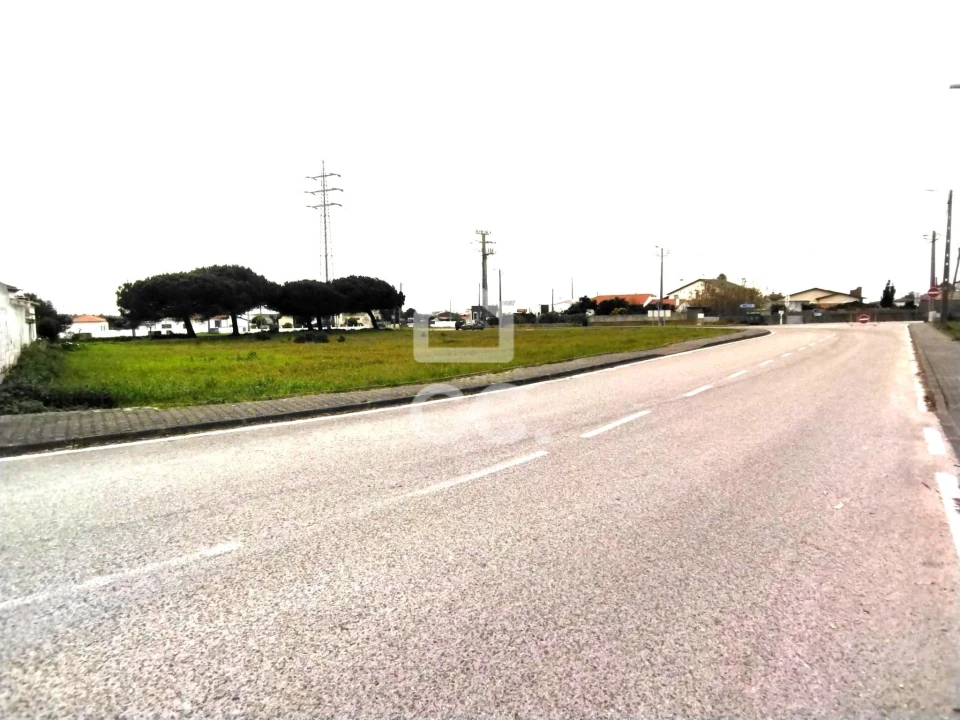 Terreno para Venda em Vieira de Leiria Foto 8