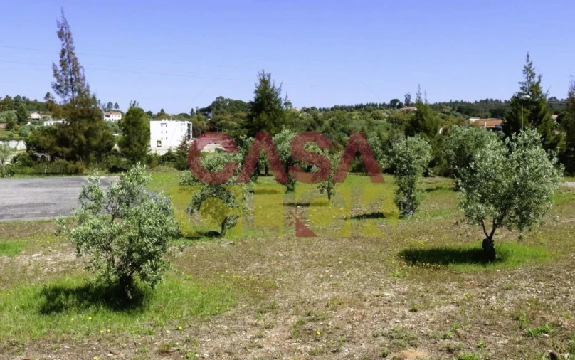 Terreno para Venda em Constancia Foto 20