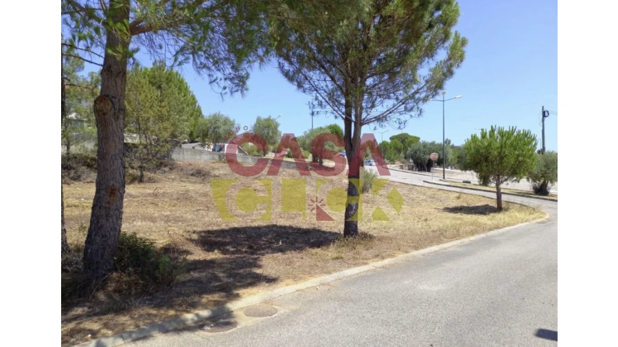 Terreno para Venda em Constancia Foto 13