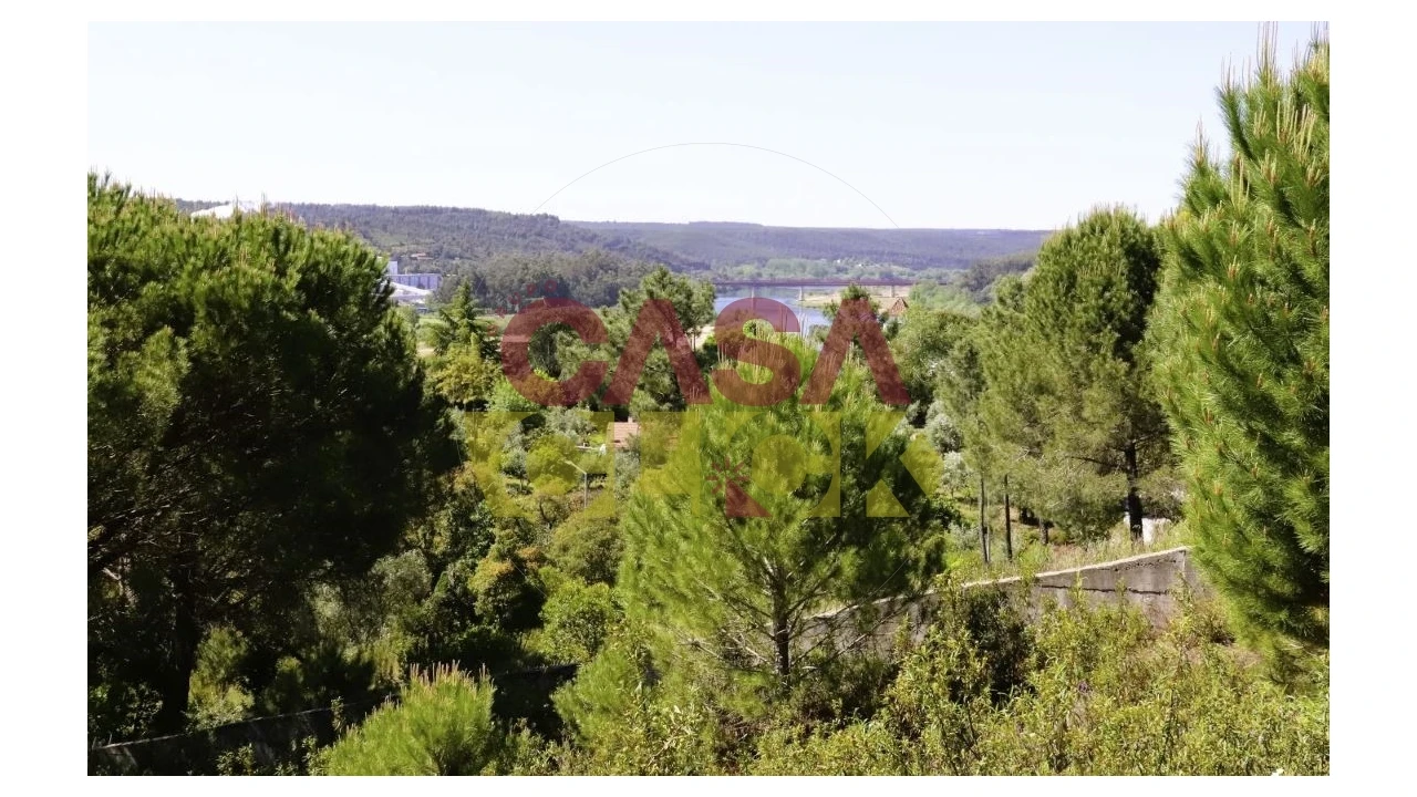 Terreno para Venda em Constancia Foto 19