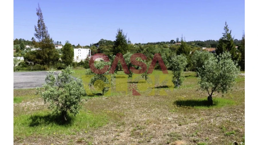 Terreno para Venda em Constancia Foto 22