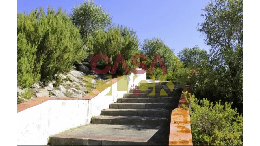 Terreno para Venda em Constancia Foto 16