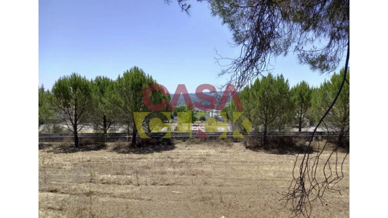 Terreno para Venda em Constancia Foto 7