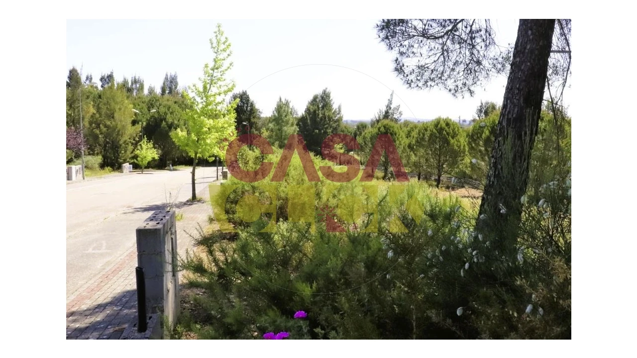 Terreno para Venda em Constancia Foto 14