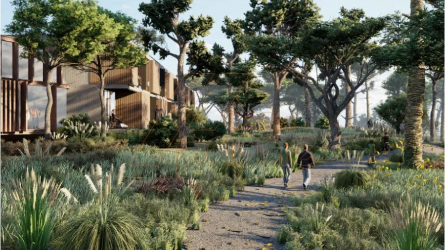 Terreno para Venda em Gambia-Pontes-Alto da Guerra Foto 6