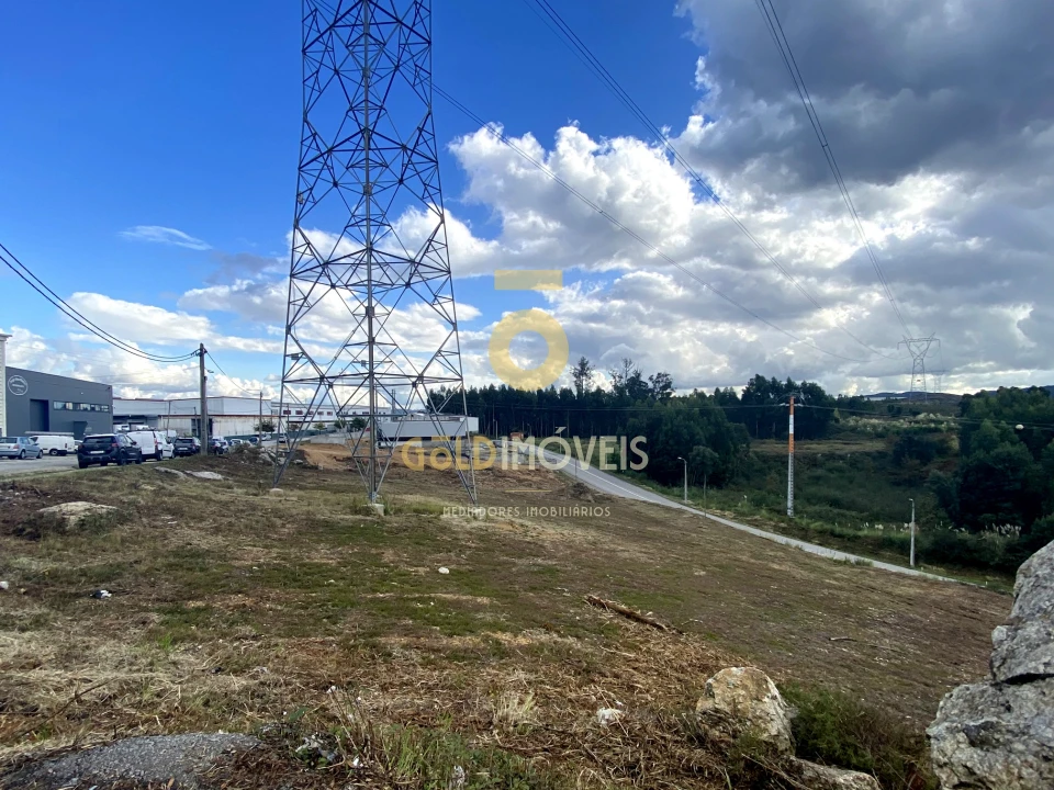 Terreno Comércio / Armazém para Venda em Campo e Sobrado Foto 6
