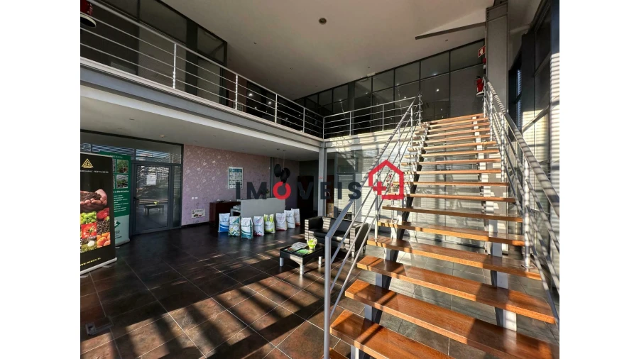 Armazém para Venda em Almeirim Foto 8