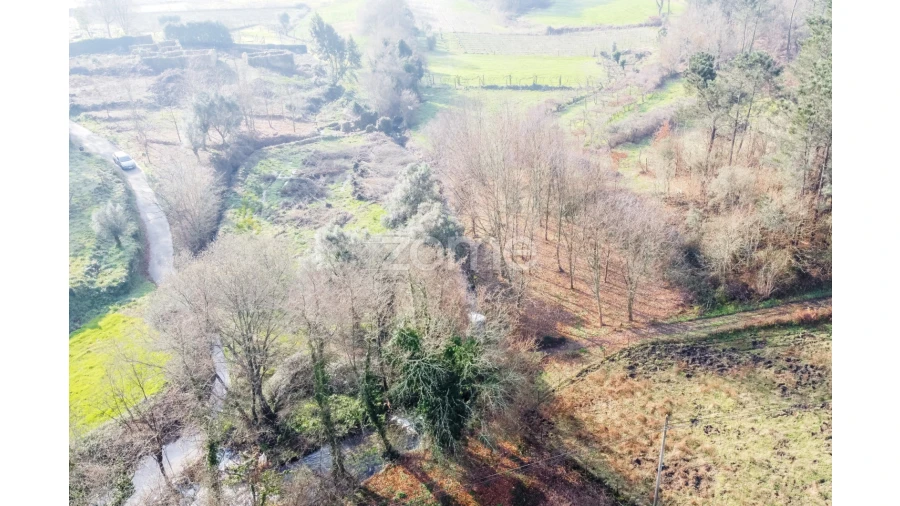 Terreno para Venda em Navió e Vitorino dos Piães Foto 8
