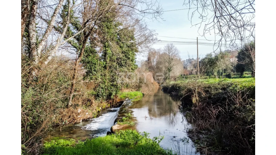 Terreno para Venda em Navió e Vitorino dos Piães Foto 11