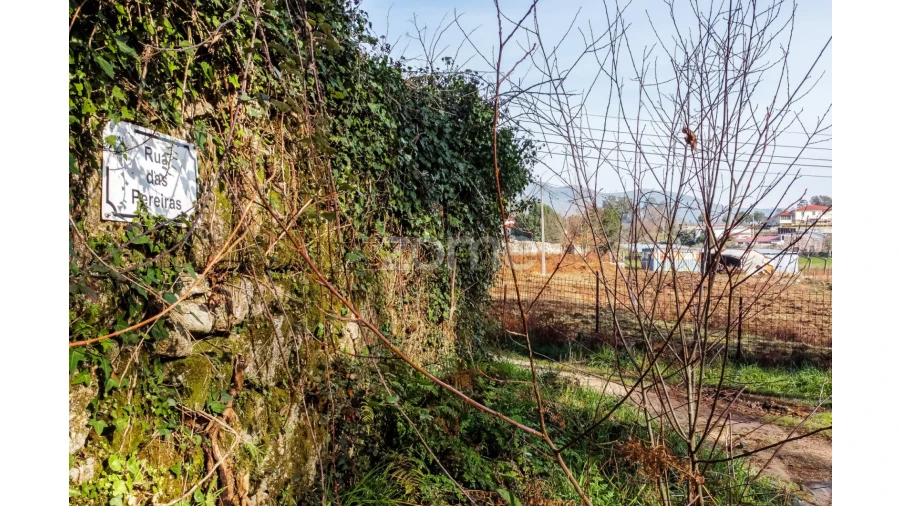 Terreno para Venda em Navió e Vitorino dos Piães Foto 13