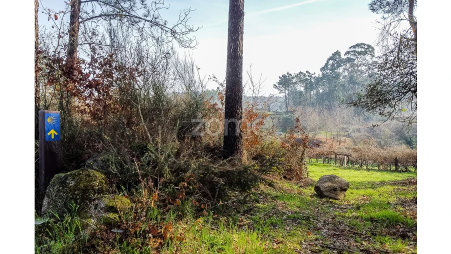 Terreno para Venda em Navió e Vitorino dos Piães Foto 14