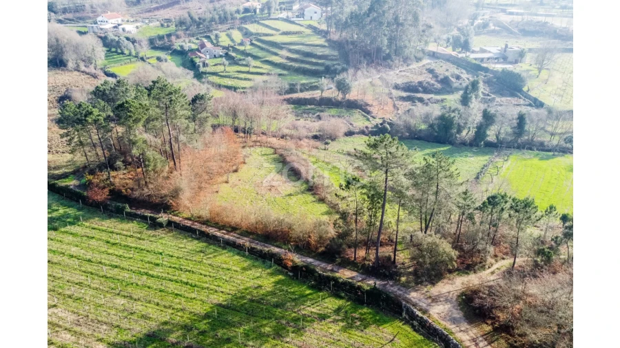 Terreno para Venda em Navió e Vitorino dos Piães Foto 16