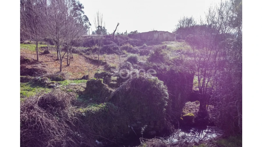 Terreno para Venda em Navió e Vitorino dos Piães Foto 17