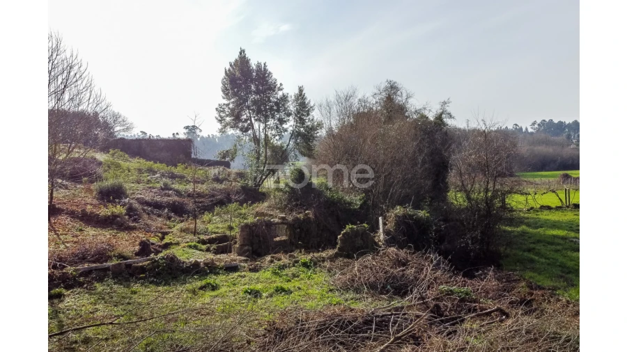 Terreno para Venda em Navió e Vitorino dos Piães Foto 18