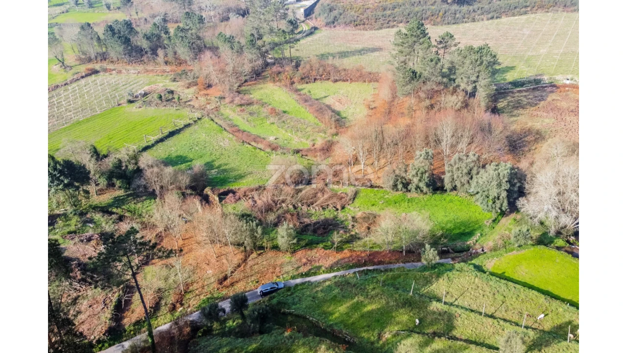Terreno para Venda em Navió e Vitorino dos Piães Foto 9